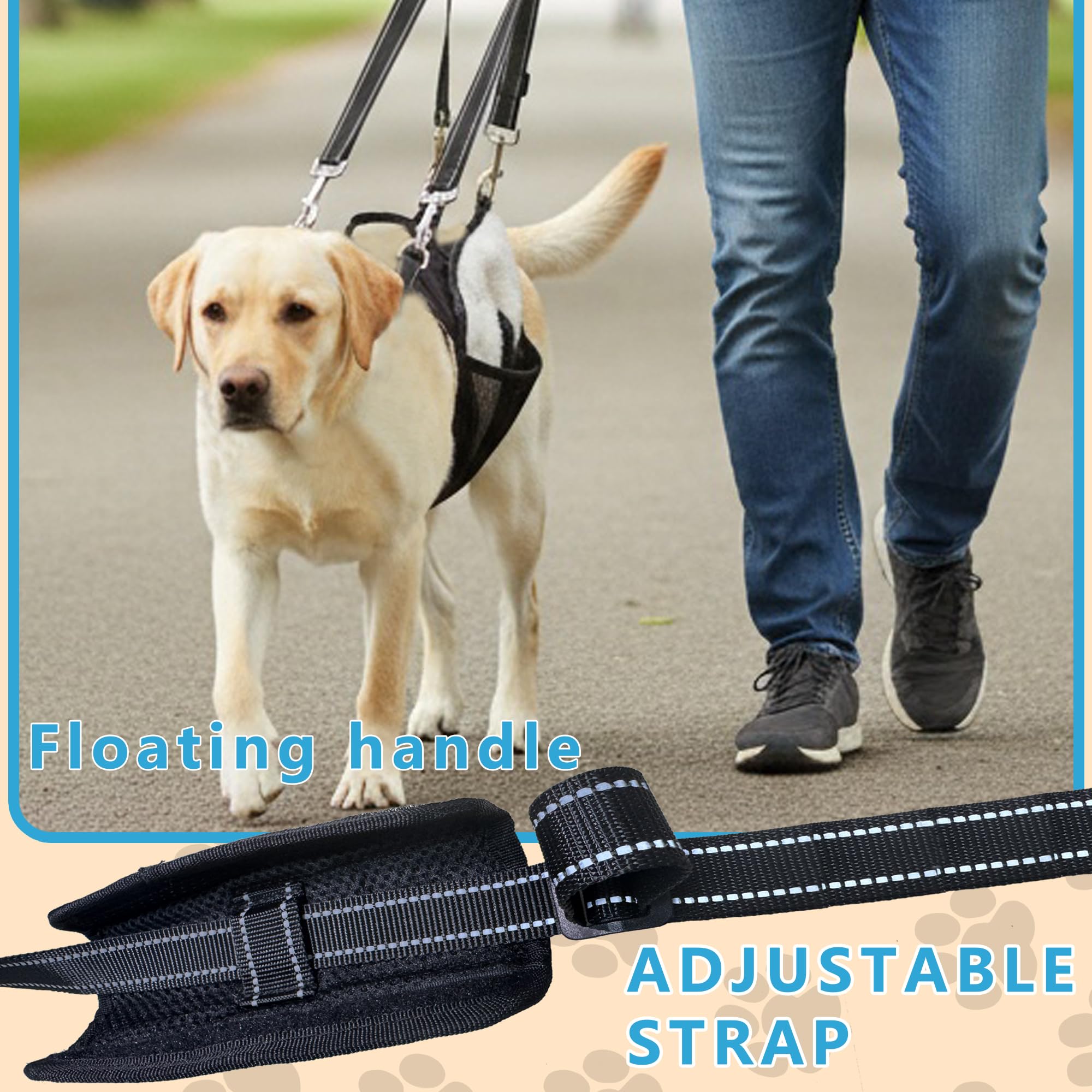 SyFatWeen adjustable straps offer a customizable fit for different dogs