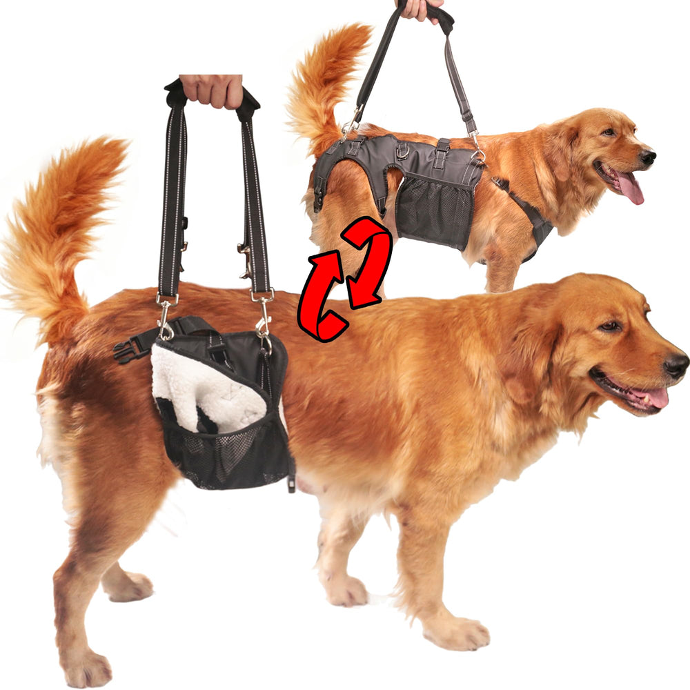 SyFatWeen dog lift harness rear legs highlights gentle rear-leg support for mobility