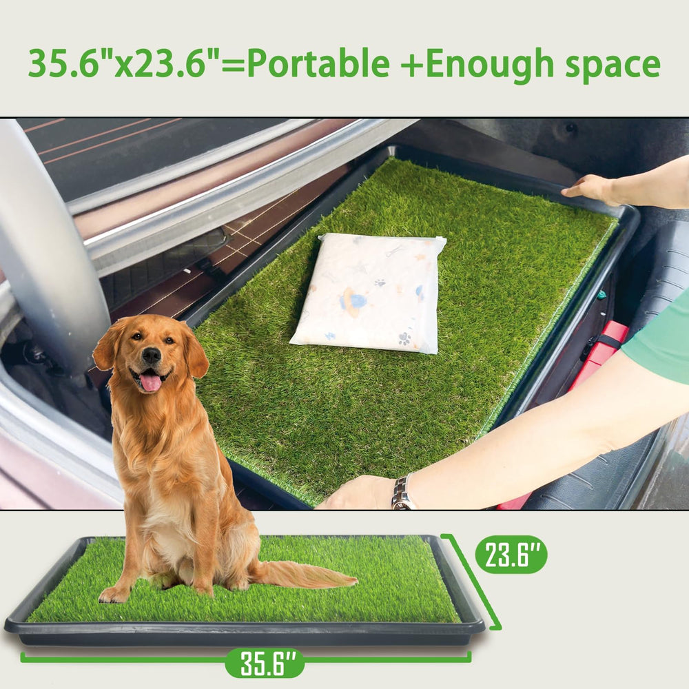 SyFatWeen drain-through grass enables quick absorption toward the pad.
