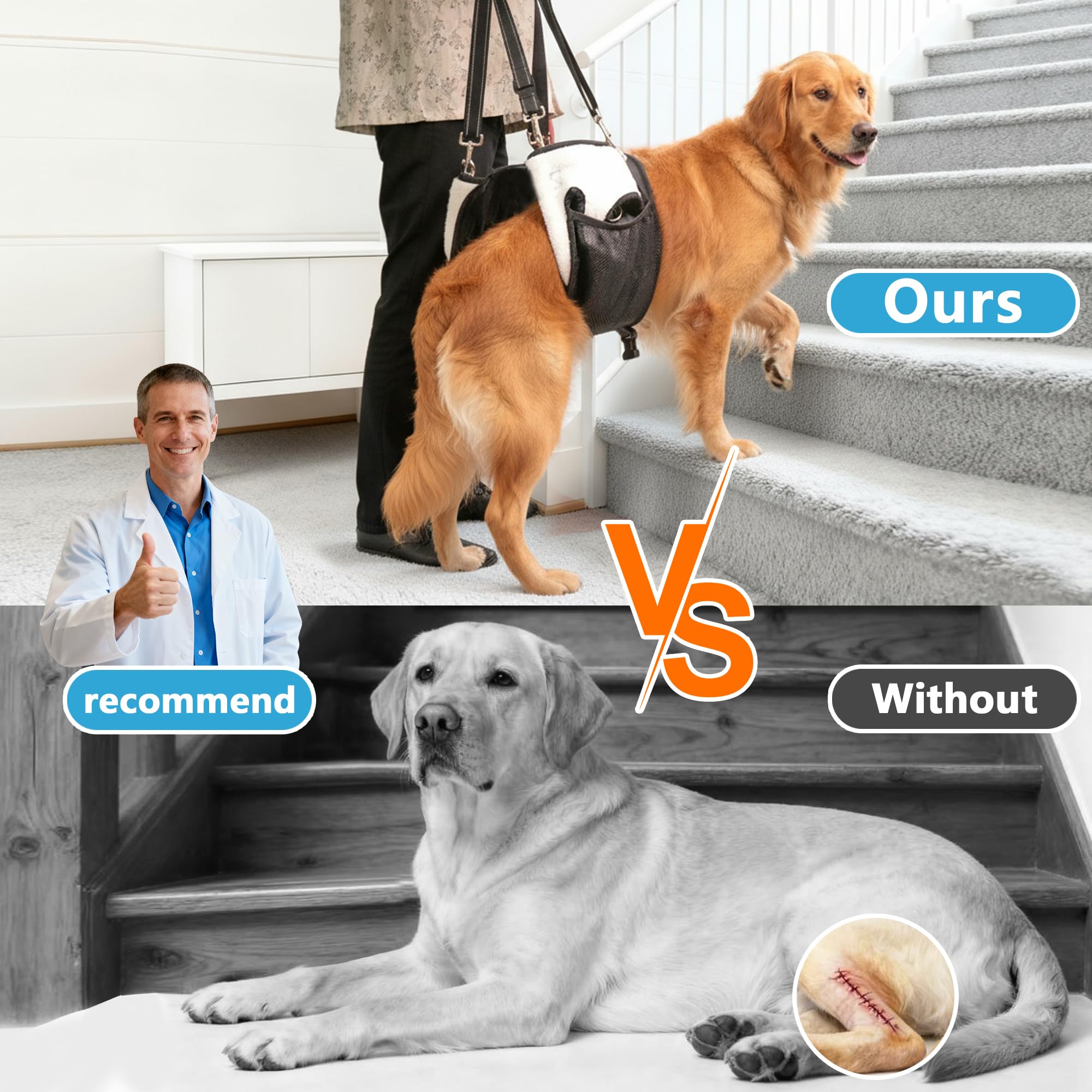 SyFatWeen hip support harness demonstrates hip stabilization for senior dogs