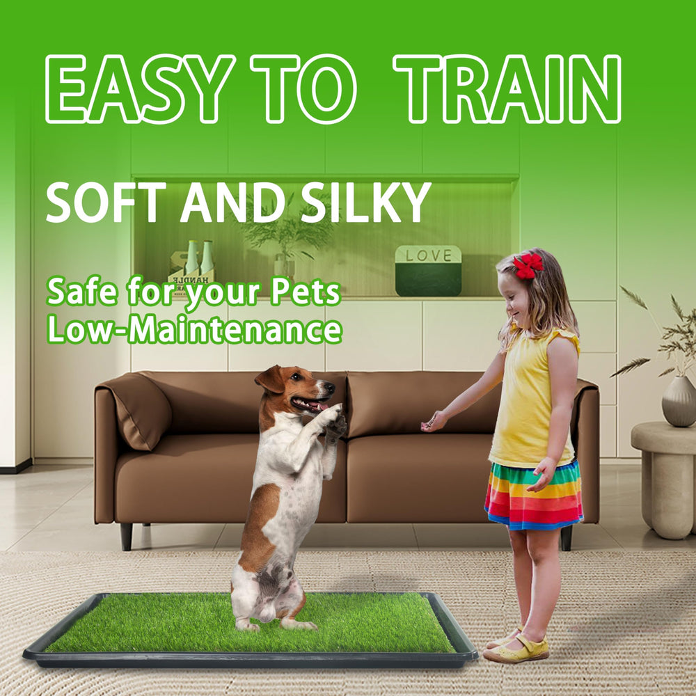 SyFatWeen machine-washable pee pads reduce waste and simplify cleanup.