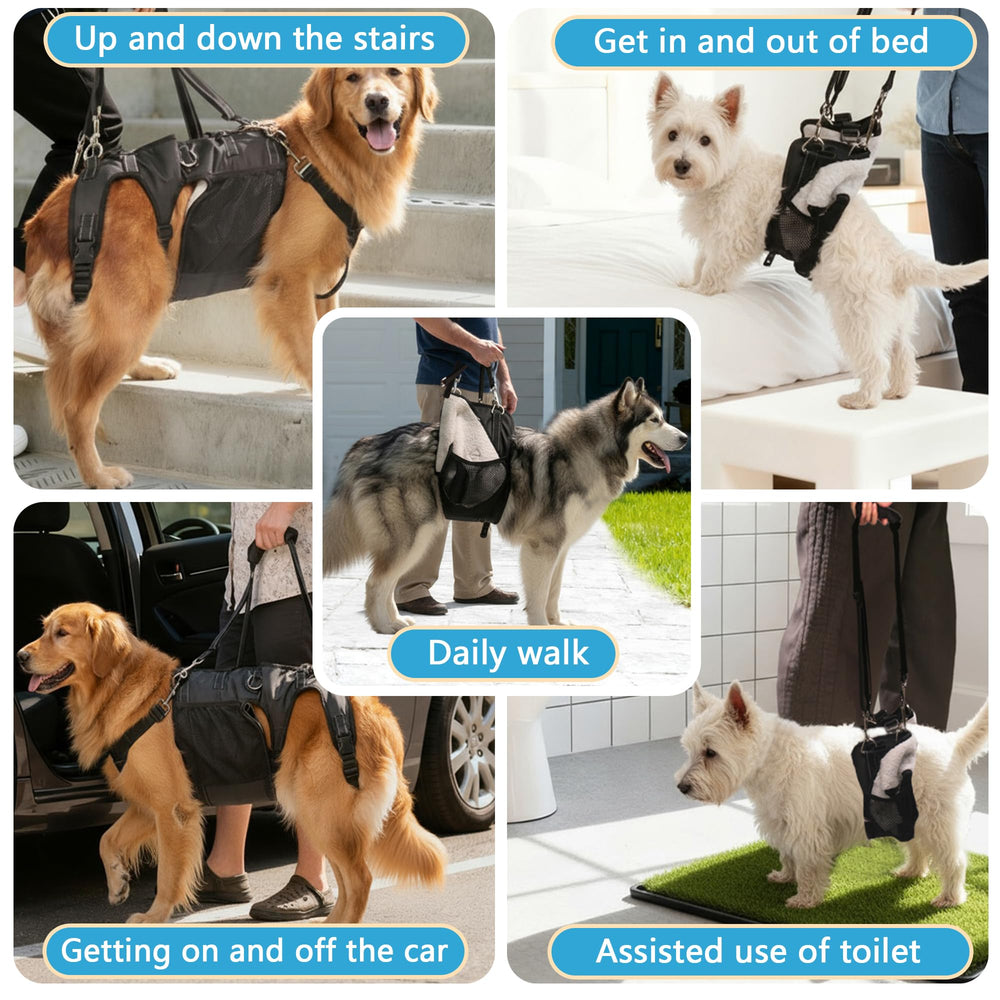 SyFatWeen post-surgery rehab dog harness supports daily activities safely