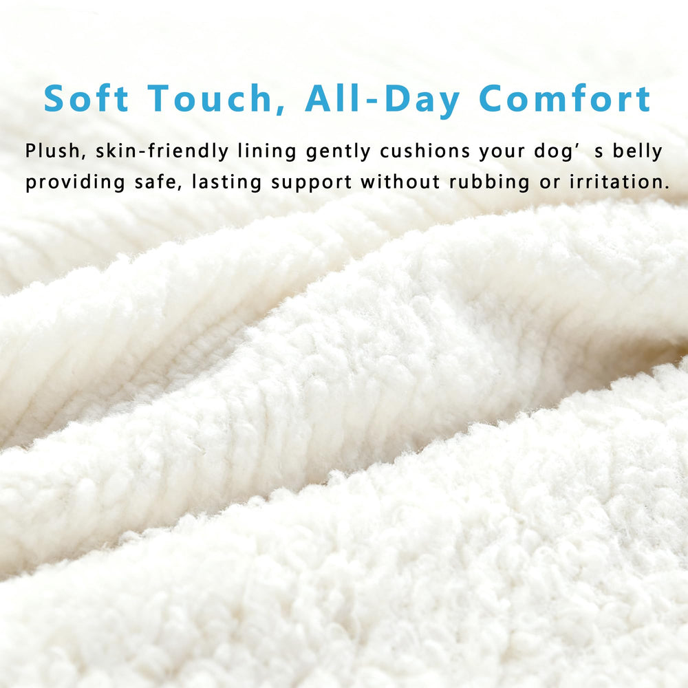 SyFatWeen reflective stitching adds durability and visibility during walks