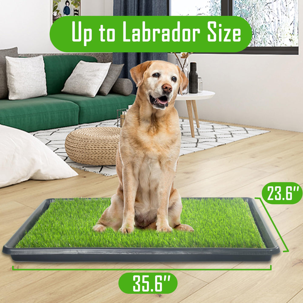 SyFatWeen weatherproof design fits indoor or outdoor potty spots.