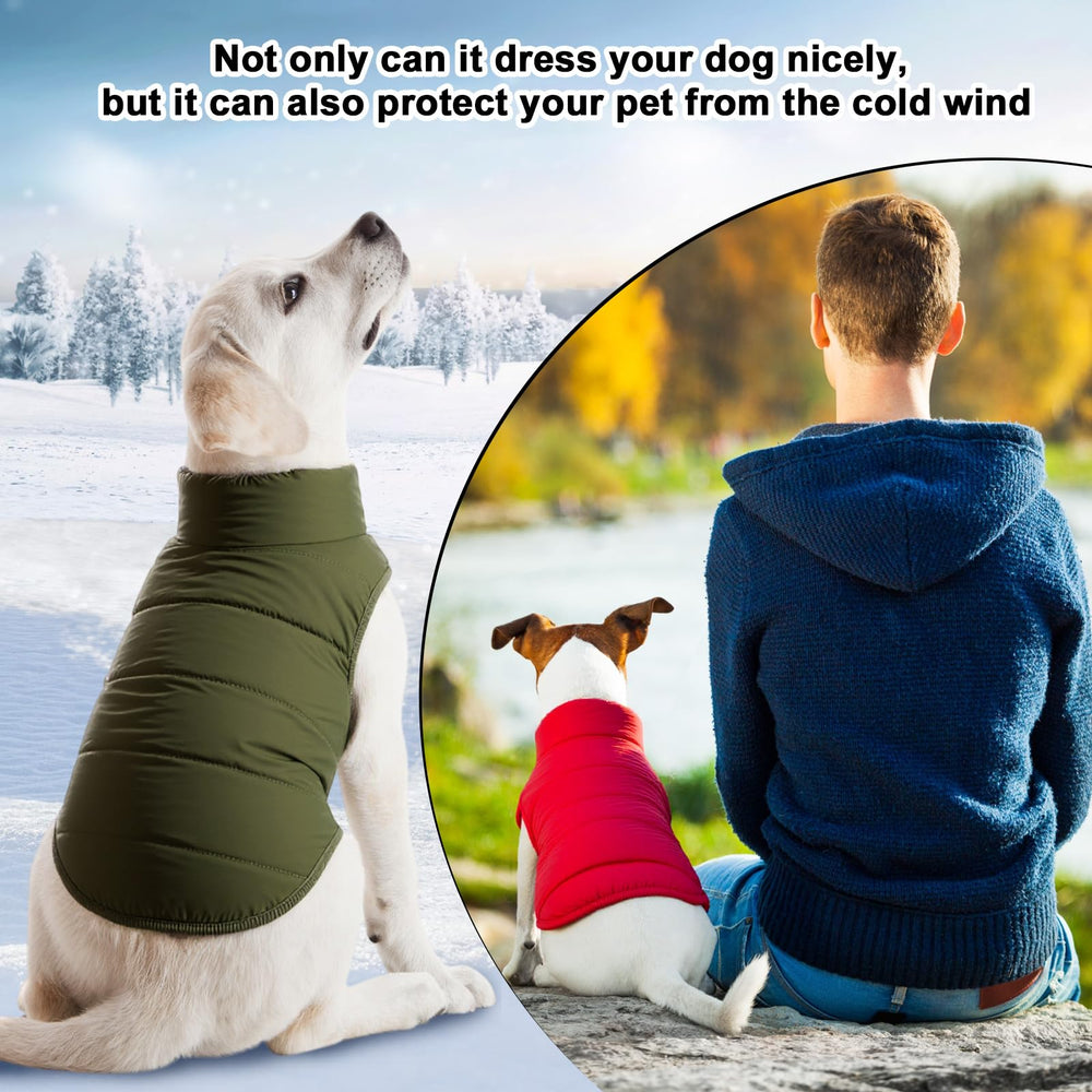 Syhood jacket snaps provide quick dressing for pets