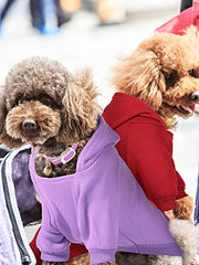 Syhood purple-knit dog sweater with pocket for outdoor warmth.