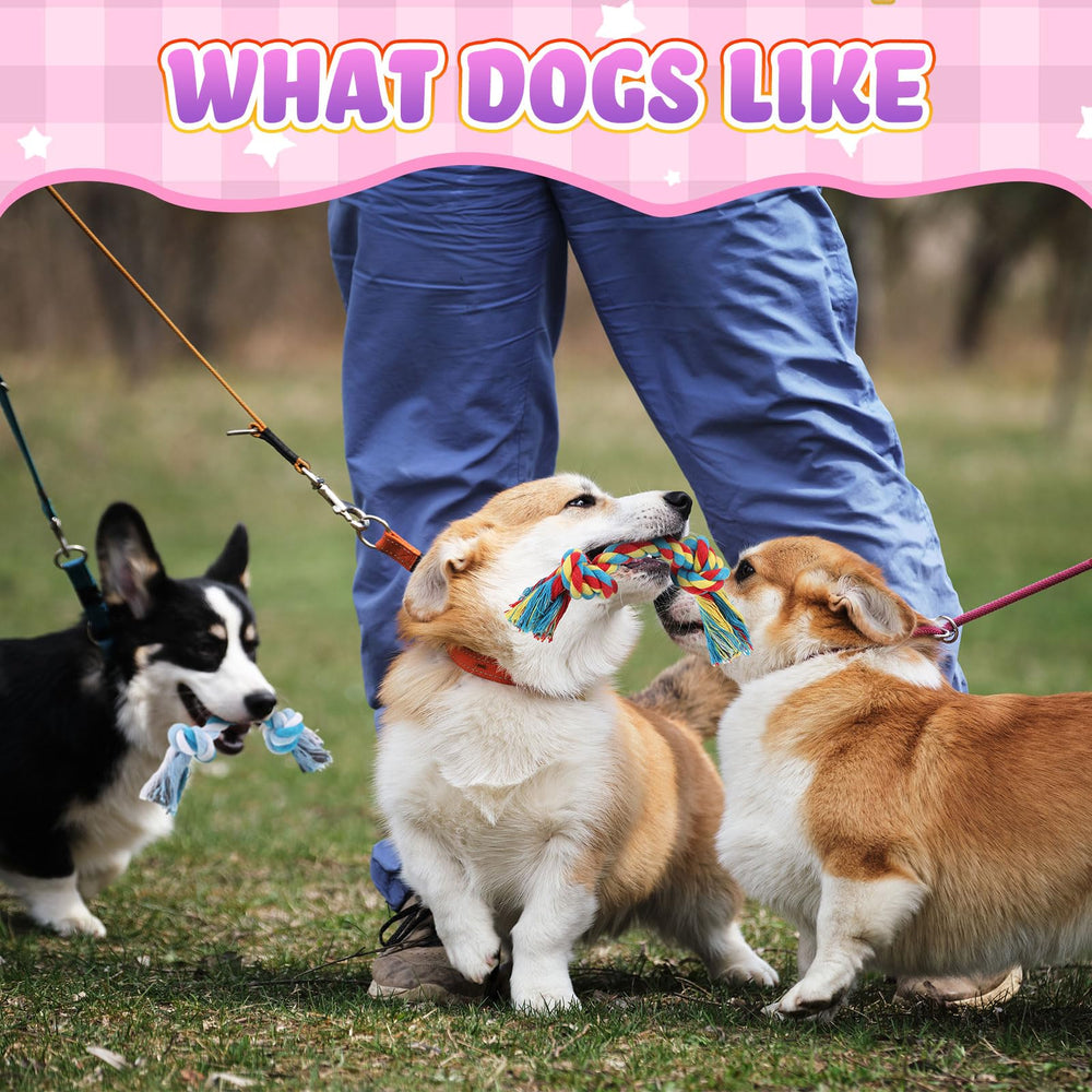 Syhood vibrant rope toys aid teething and mental stimulation during daily fun.