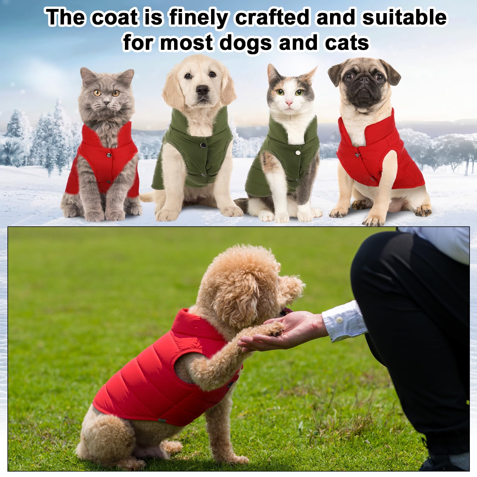 Syhood windproof polyester coat protects against chilly gusts outdoors
