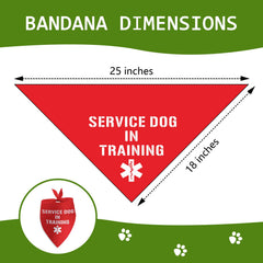 SYIJIMSJKT dog bandana on a dog, ideal photo prop for training moments