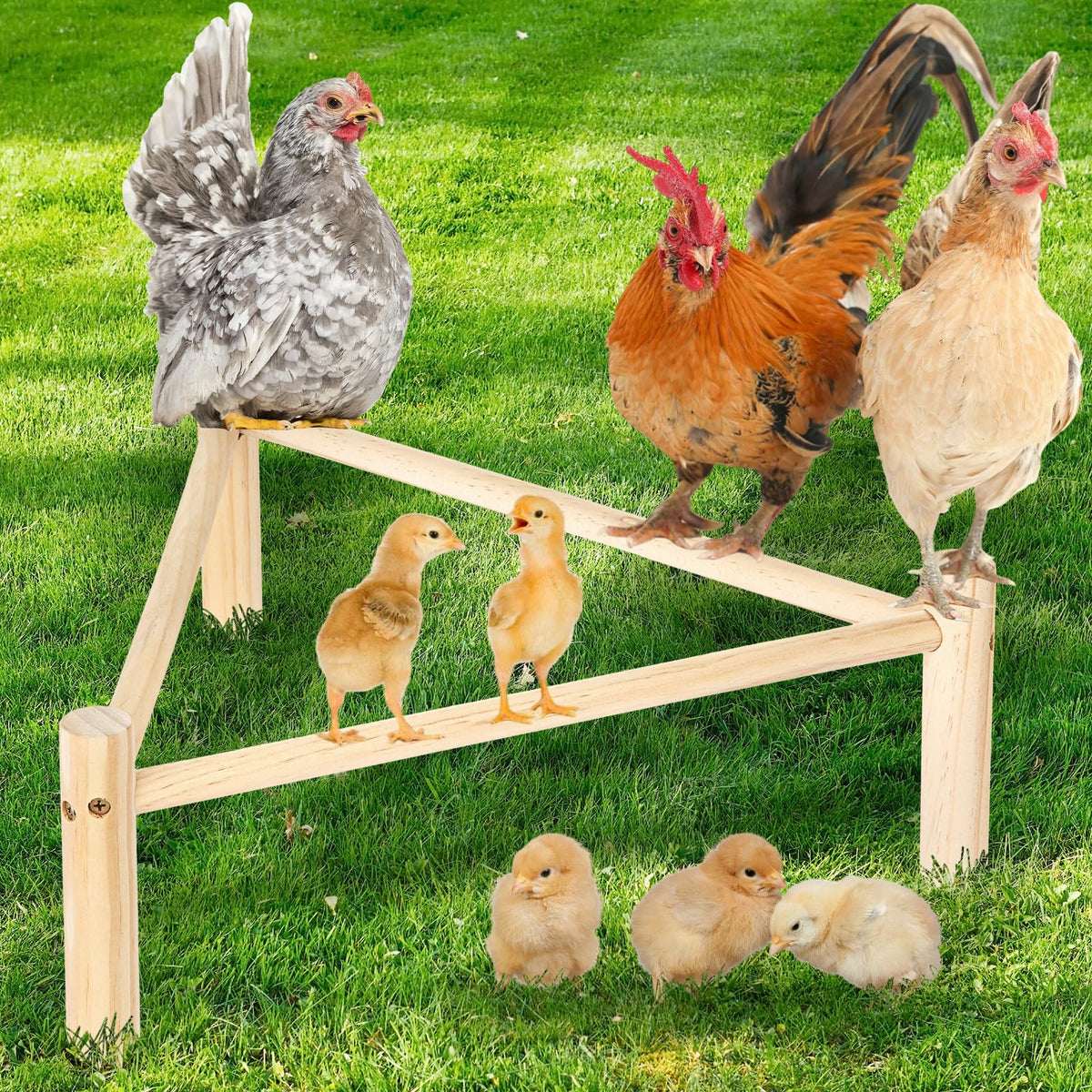 SYMDROMIA chicken perch assembly with pine sticks for easy coop setup