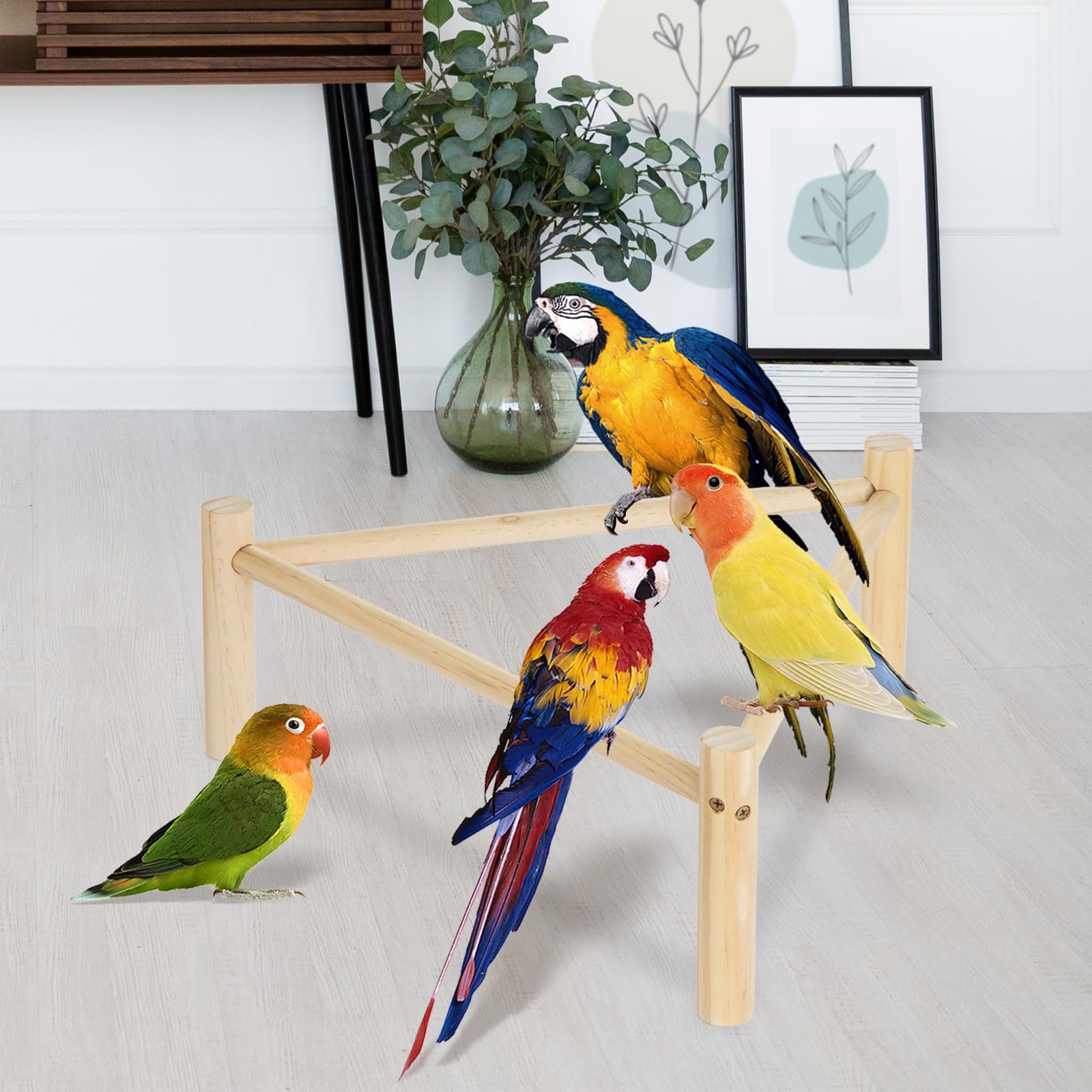 SYMDROMIA pine perch for indoor and outdoor play and rest