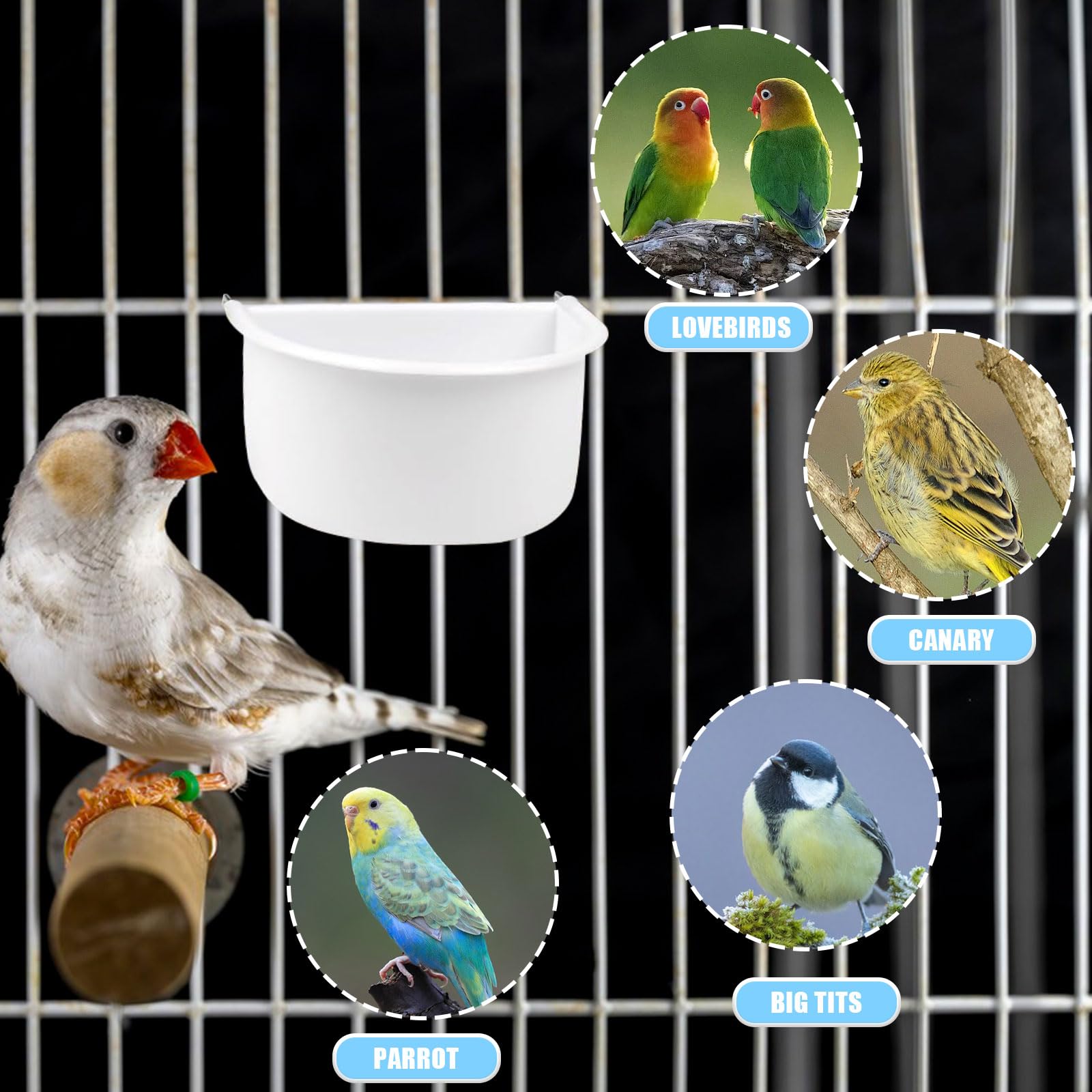 Symphonyw bird water bowl image demonstrates dual-use design for food and water.