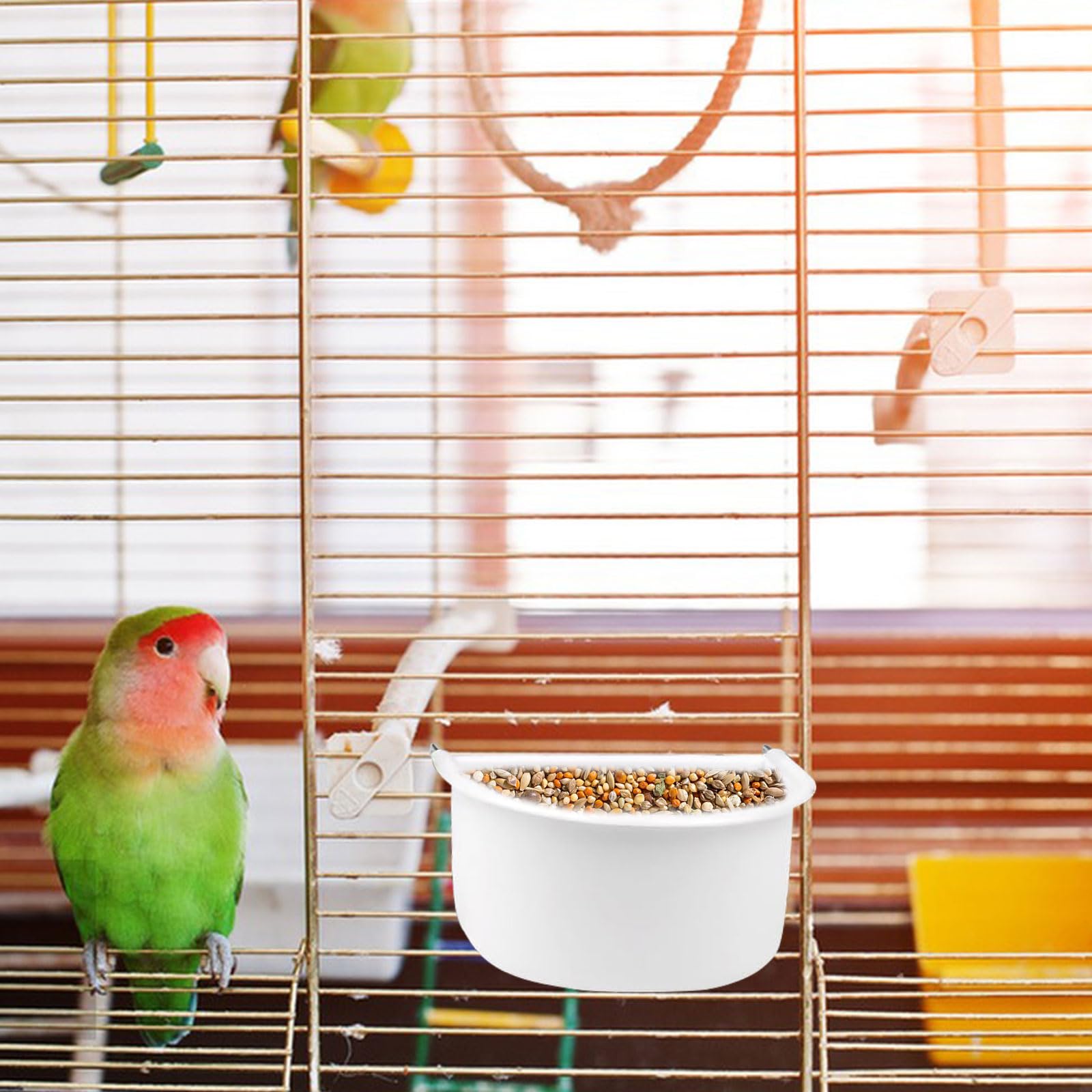 Symphonyw small-bird compatibility shows wide cage-friendly fit.