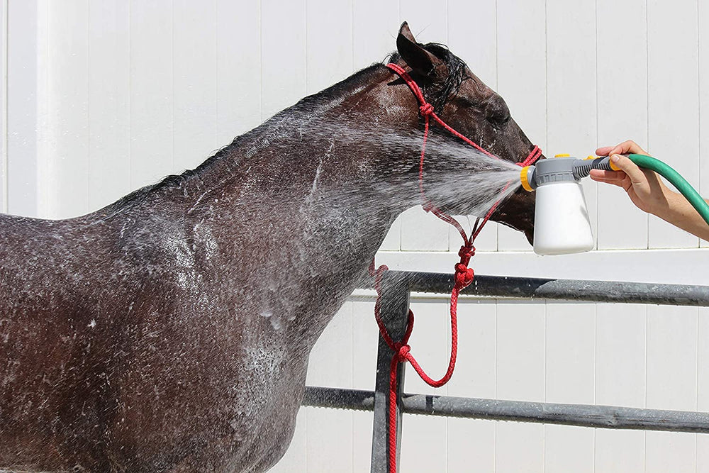 SYNBIONT AGRICULTURAL WASH horse shampoo being applied to mane.