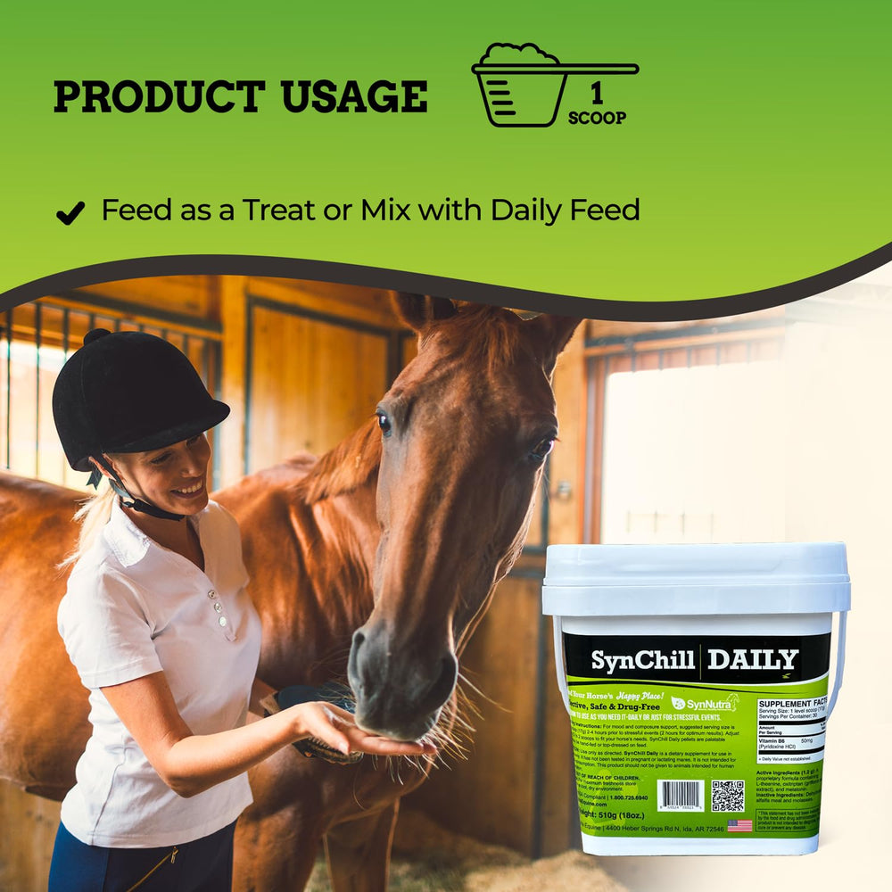 SynNutra Equine SynChill on-training scene—pellets supporting focus during drills.