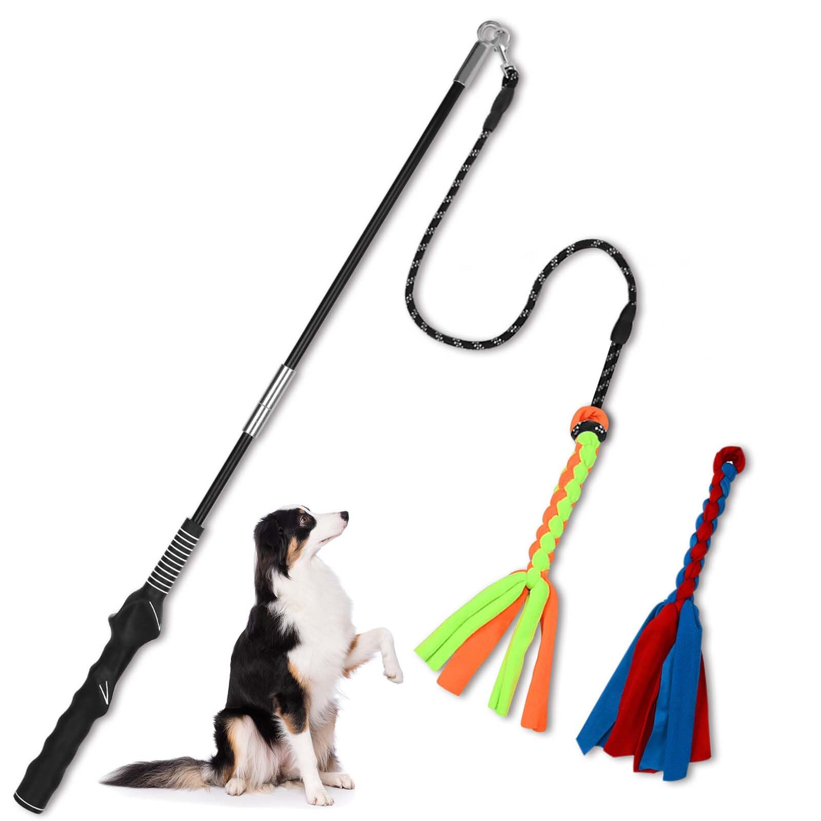 SYOOY Flirt Pole outdoors in action promoting active dog play