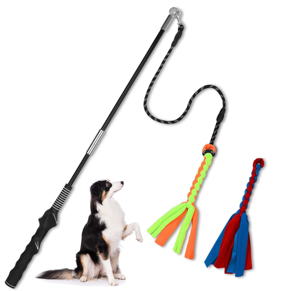 SYOOY Flirt Pole outdoors in action promoting active dog play