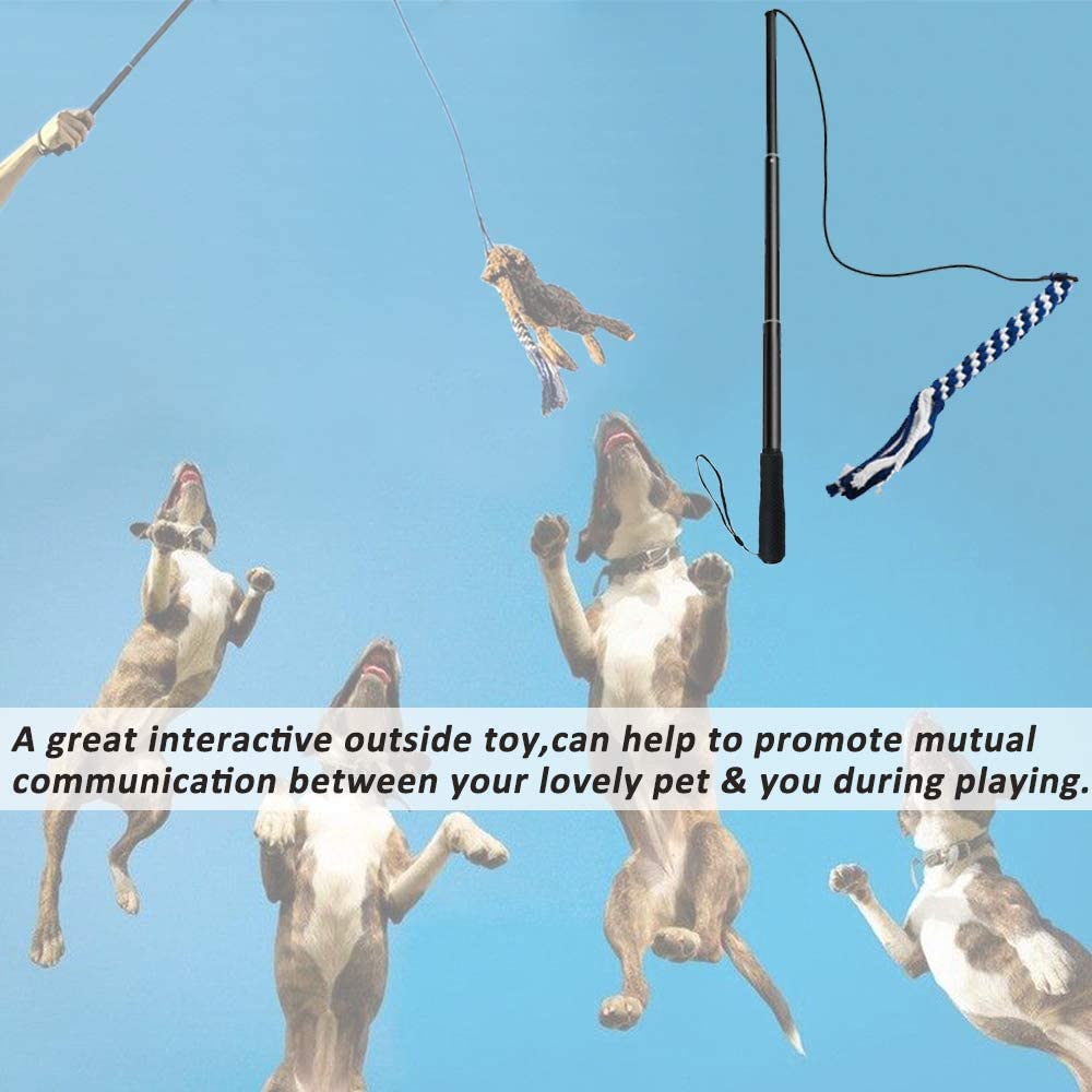 SYOOY Flirt Pole outdoors in park illustrating versatile exercise and training aid.