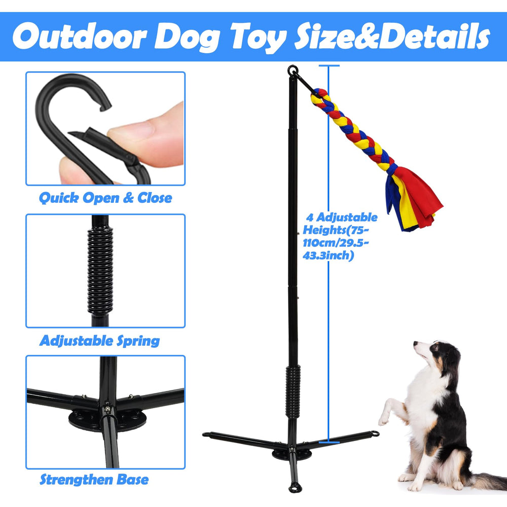 SYOOY tether adjustable-height setup fits dogs of different sizes.