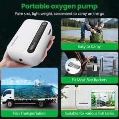 SYSENCIAGA aquarium air pump dual-outlet, aerates two tanks simultaneously.