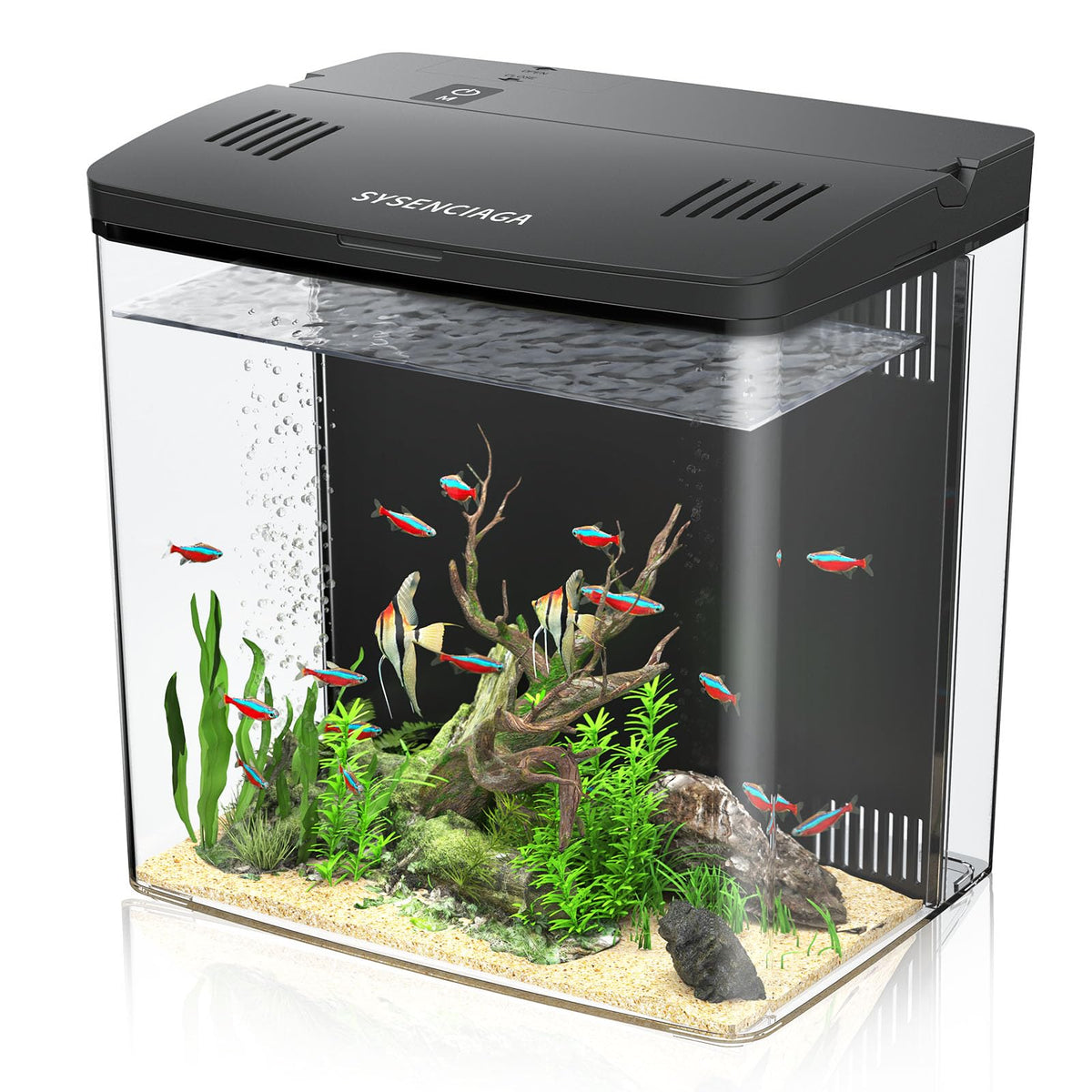 SYSENCIAGA desktop fish tank kit ready for compact home display and beginner setup