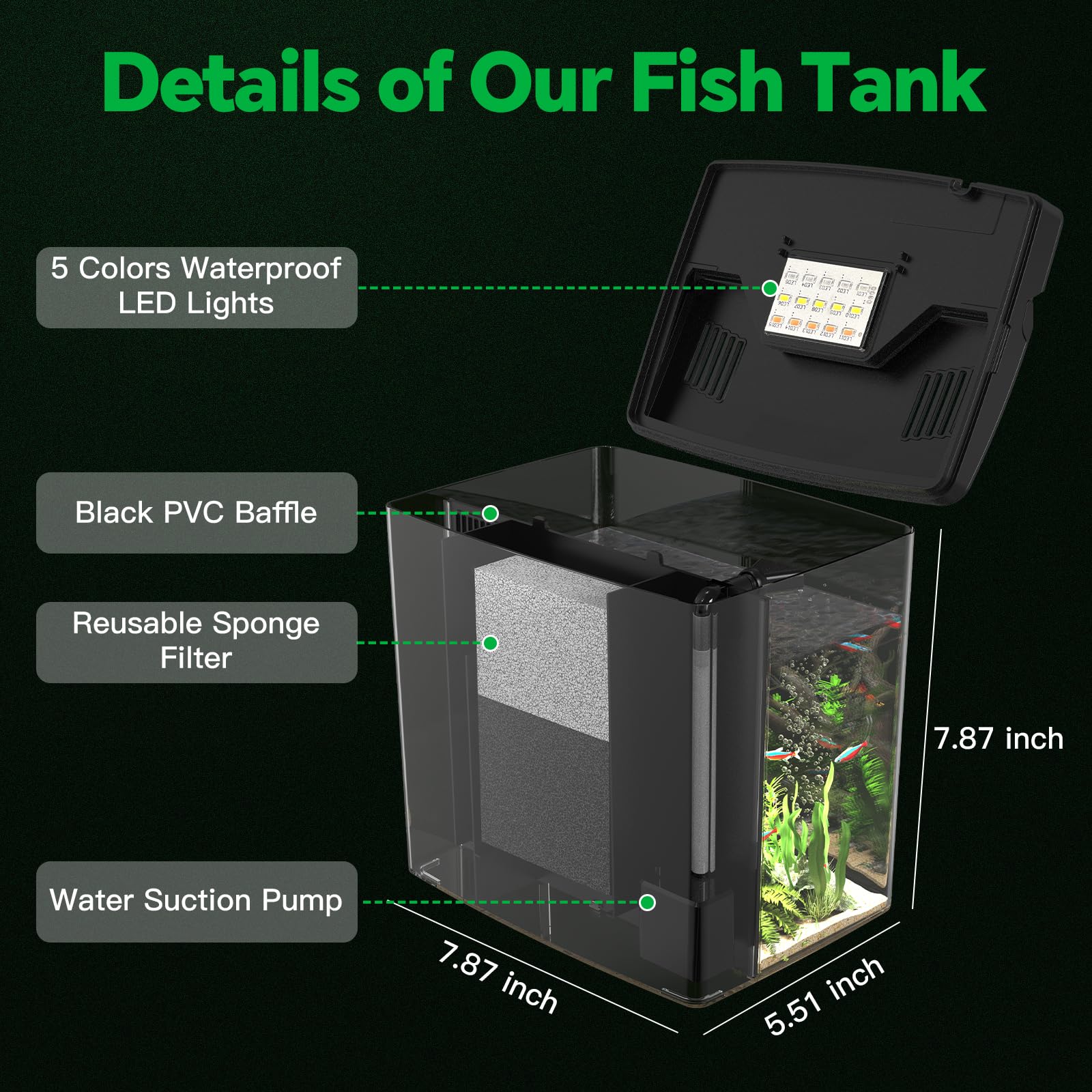 SYSENCIAGA 5-color LED light highlights fish colors and sets mood