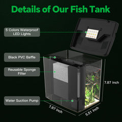 SYSENCIAGA 5-color LED light highlights fish colors and sets mood