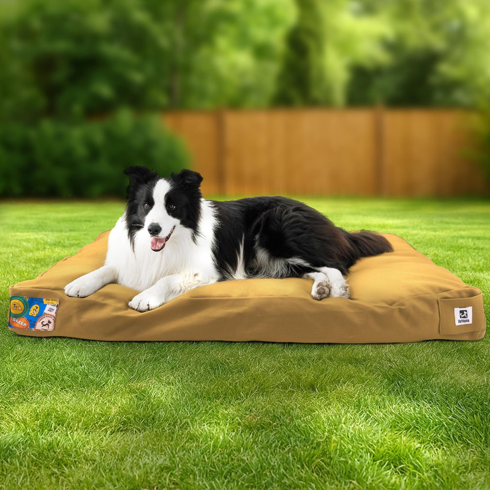 Sytopia 36in canvas outdoor dog bed in yellow for patio lounging.