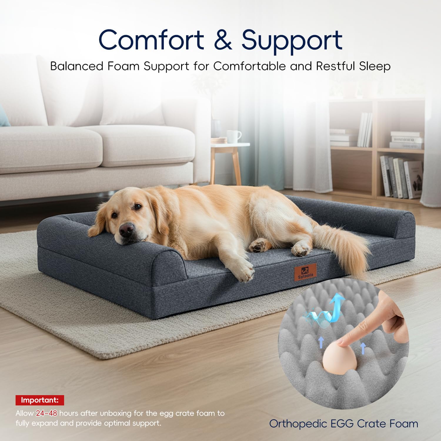 Sytopia sofa-style dog bed design visible for cozy living room integration