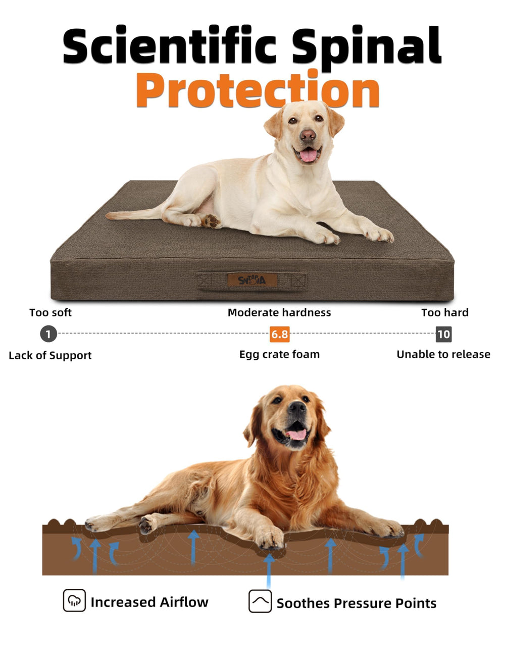 Sytopia egg-crate foam close-up showing defined orthopedic support.