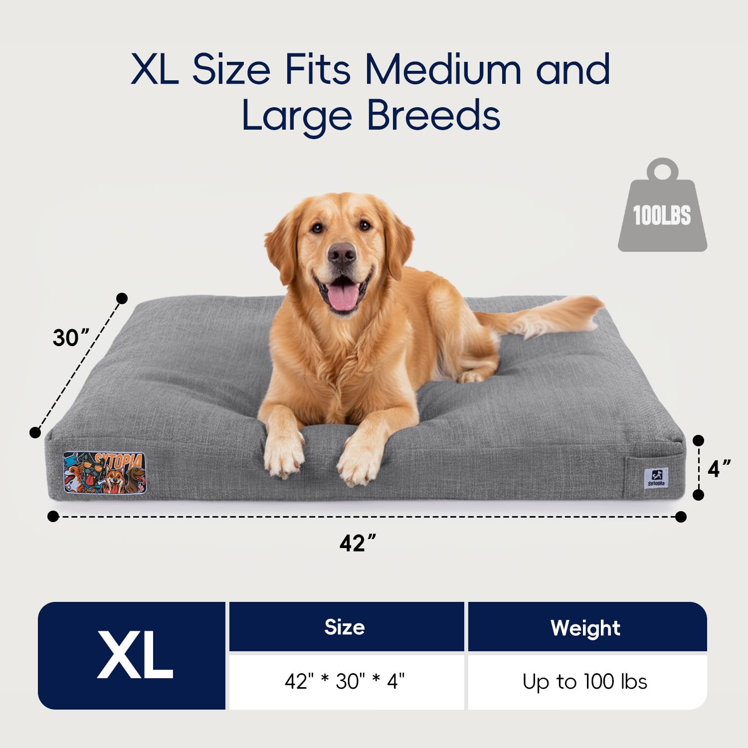 Sytopia flat-design bed on floor shows versatile placement for large dogs.