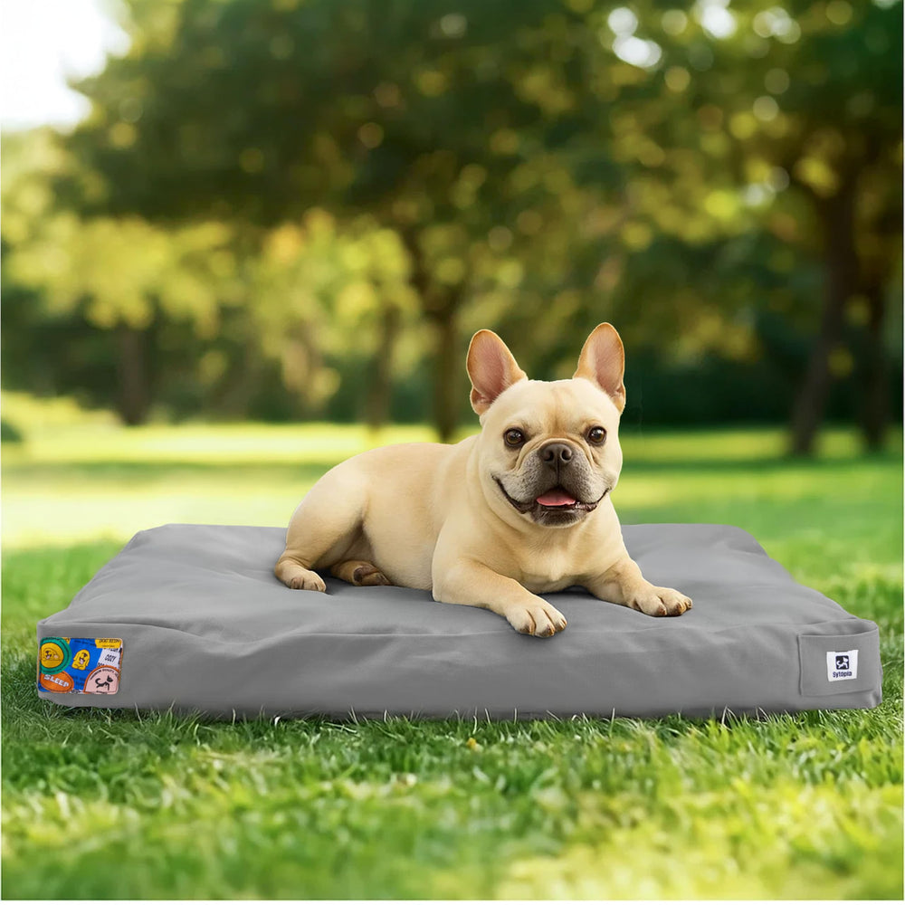 Sytopia outdoor canvas dog bed with zipped cover for quick cleanup.