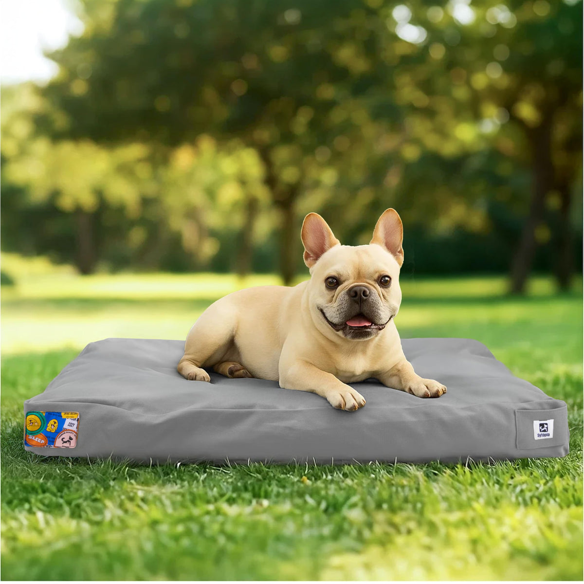 Sytopia outdoor canvas dog bed with zipped cover for quick cleanup.