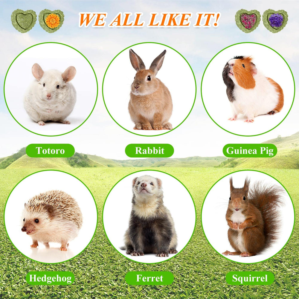 SYWHXY heart-shaped hay cakes invite pets with pleasant aroma