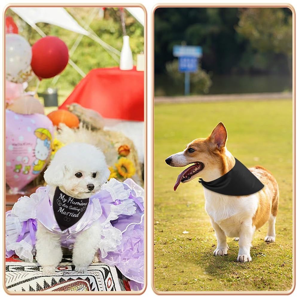 SZEE extra-large bandana fits up to 23 inches for bigger dogs