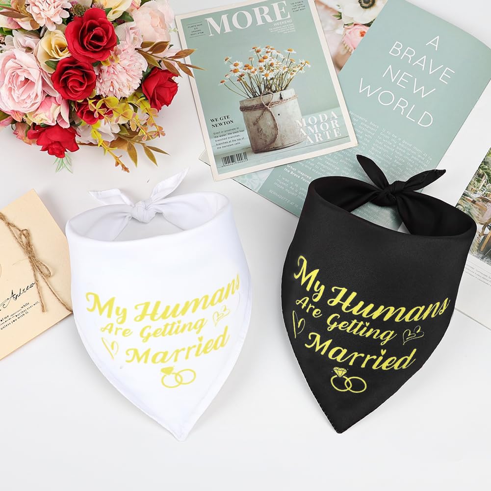 SZEE bride-groom-dog-bandana helps capture memorable couple moments.