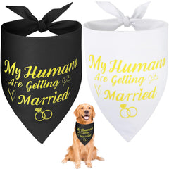SZEE dog bandana wedding design gold for XL size, ideal for wedding-day photos.