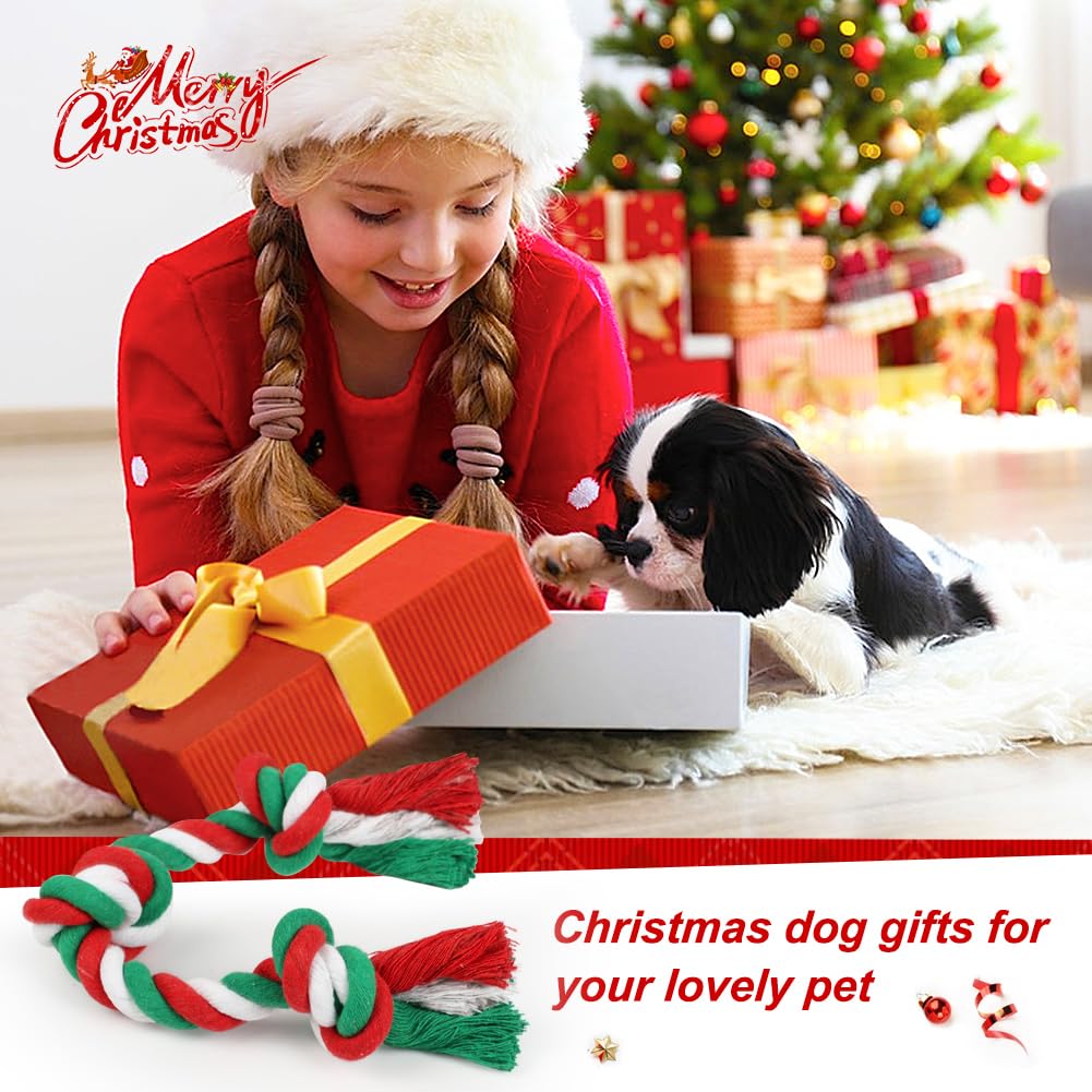 SZEE red-green rope toy demonstrated for tug-of-war and furniture protection