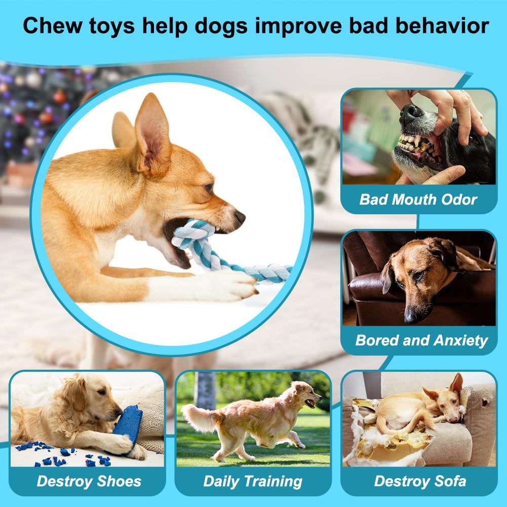 SZEE blue cotton rope close-up highlighting durable natural material.