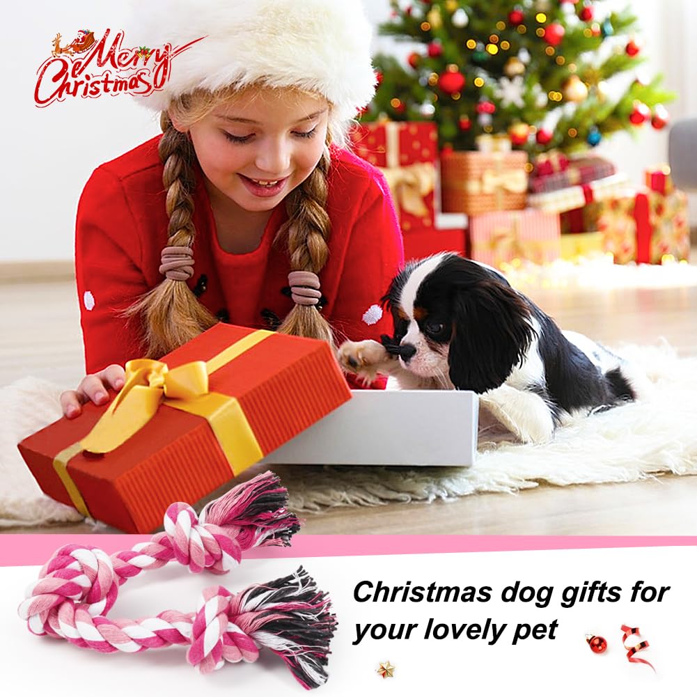 SZEE dog rope toy pink cat and small dog play setup