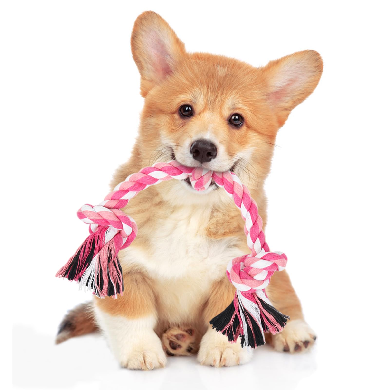 SZEE dog rope toy pink in use for interactive play and bonding