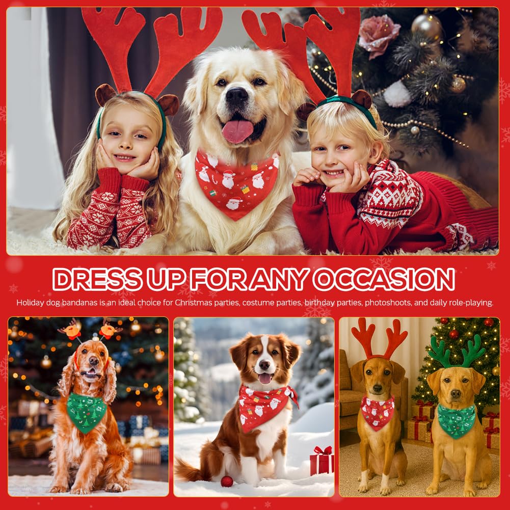 SZEE festive look complements any coat color for holiday photos