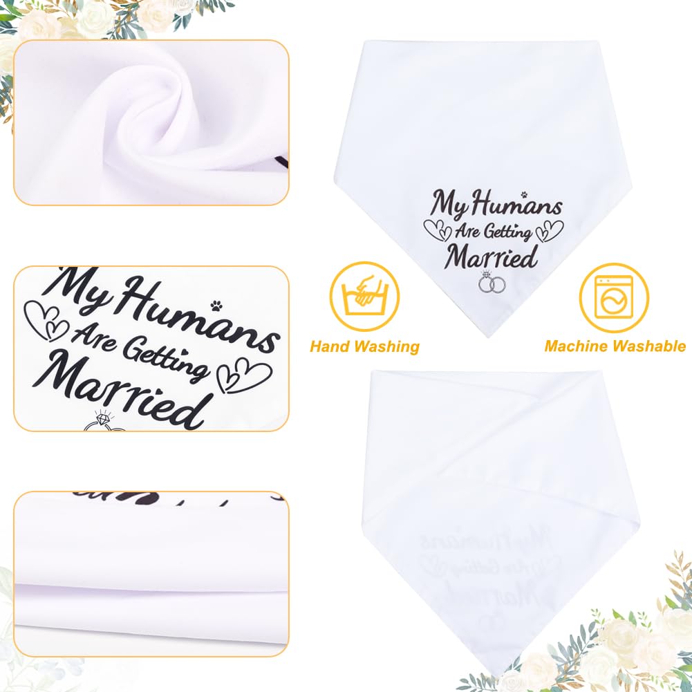 SZEE black My Humans Are Getting Married bandana on a dog for engagement photos.