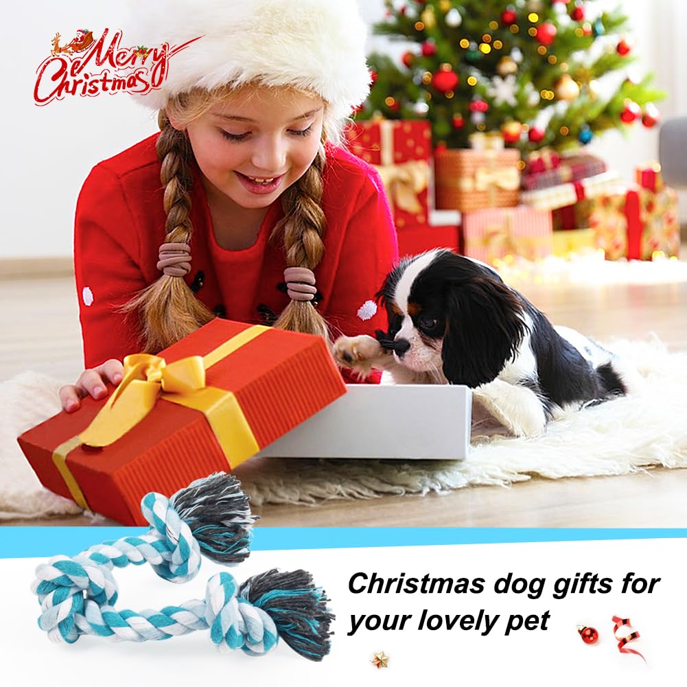 SZEE playtime blue rope toy during fetch and tug exercises.