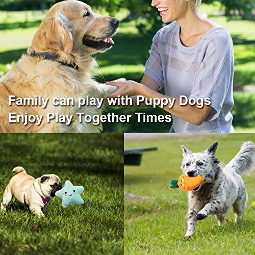 SZKOKUHO doughnut squeaky toy offers comforting soft texture for puppies' playtime