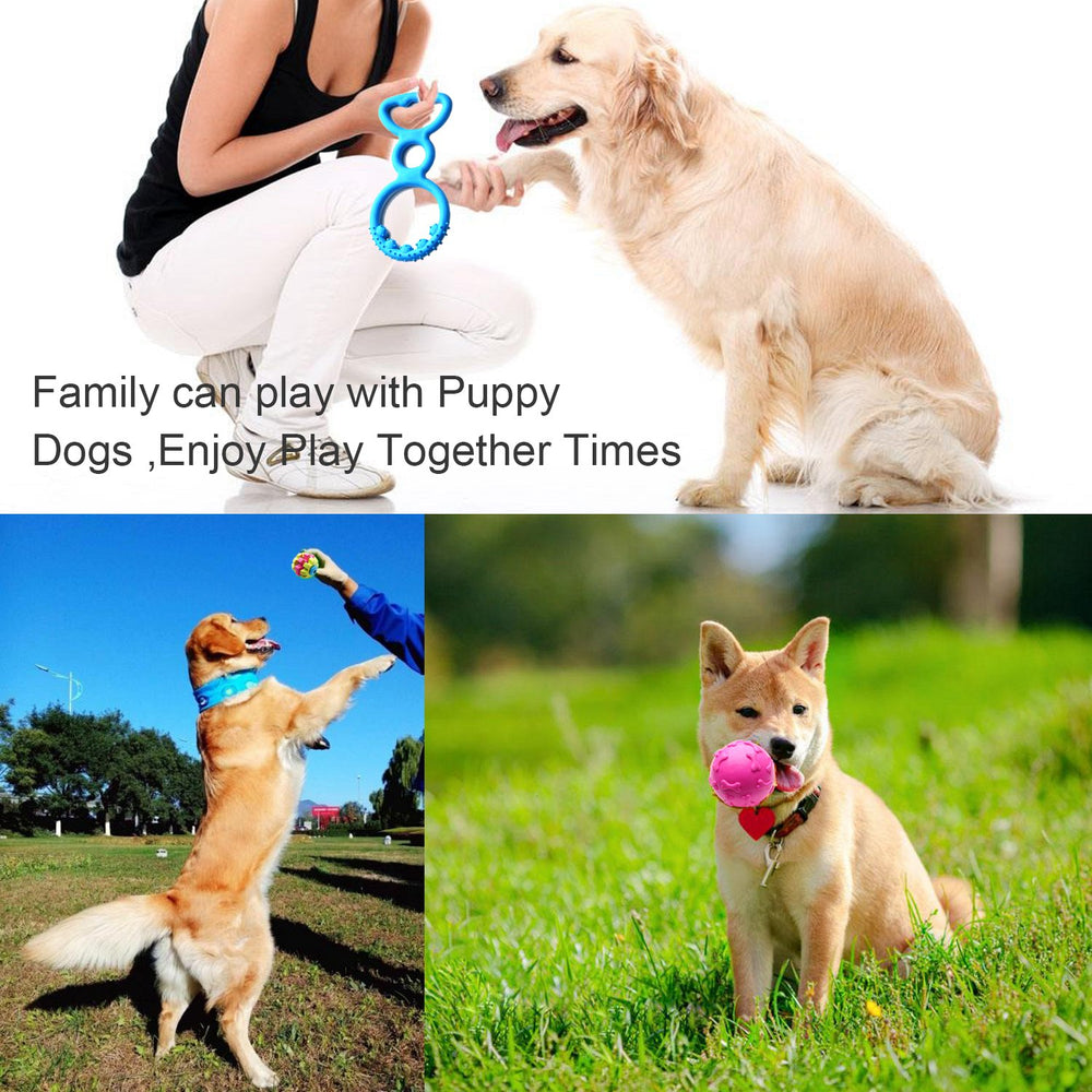 SZKOKUHO colorful designs aid visibility and keep puppies engaged during chew time.