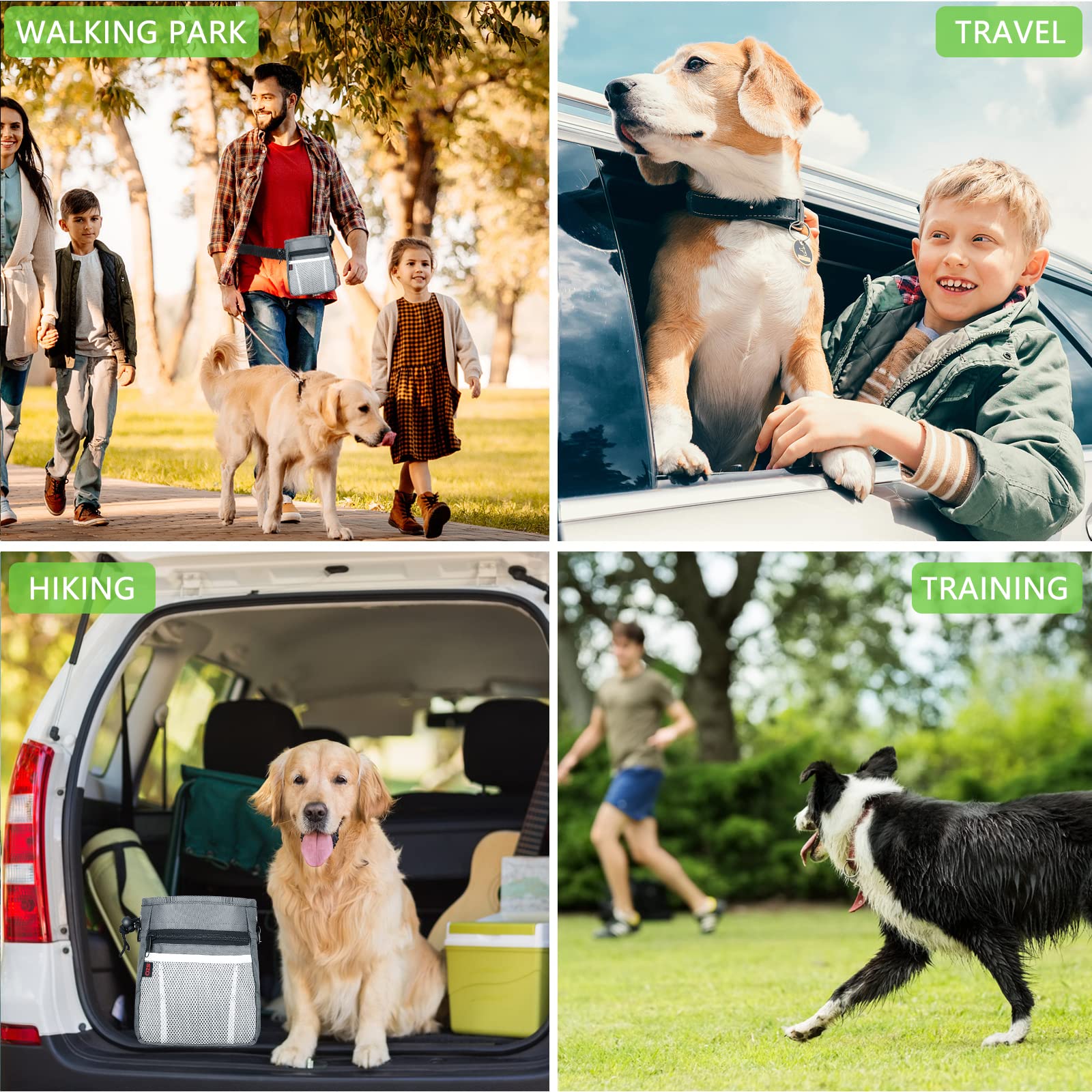 SZO D-rings shown for hanging clicker kit or cups during training