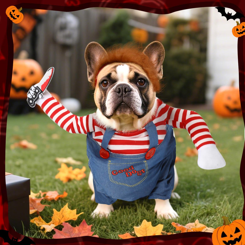 T2Y costume with accessories for easy styling and playfulness.