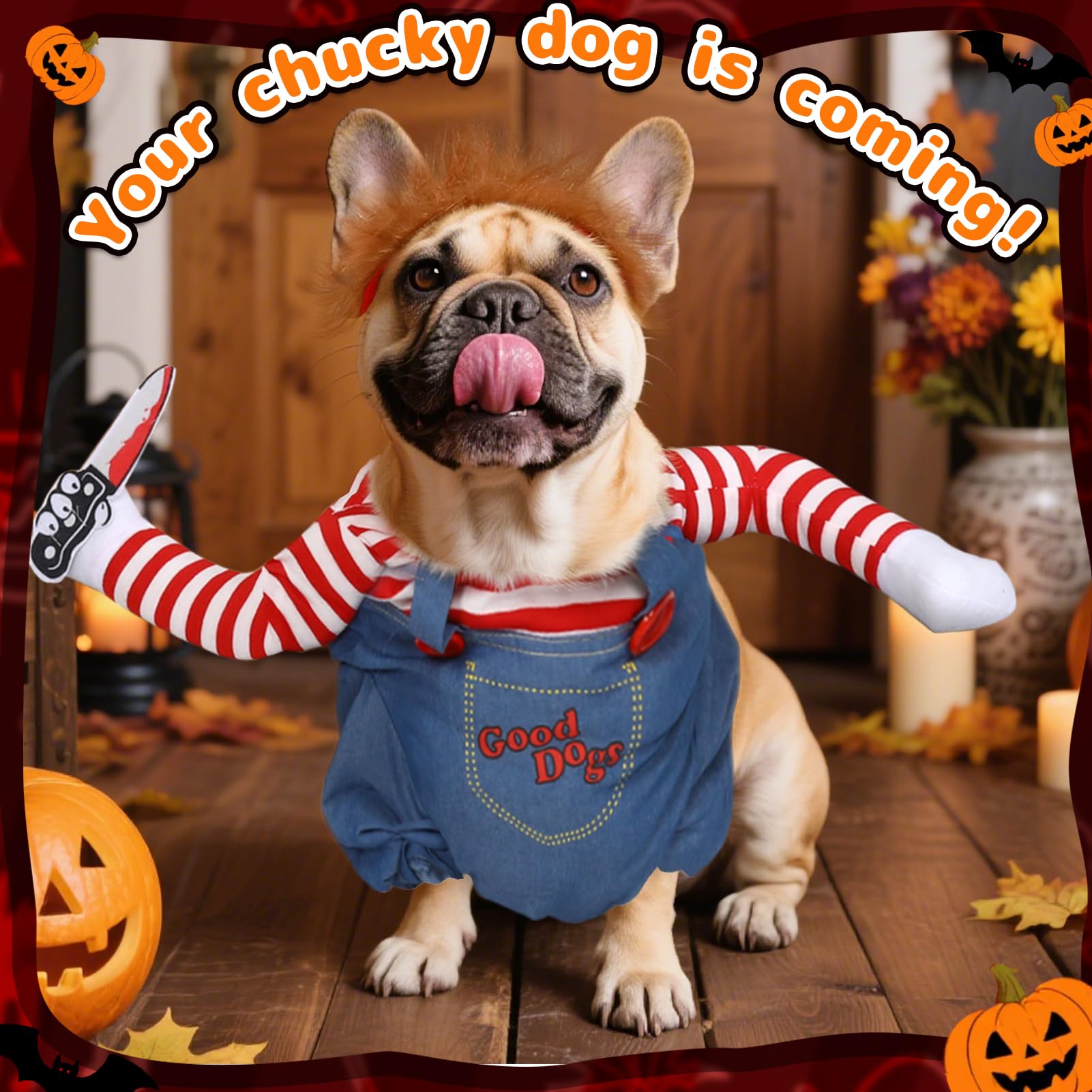 T2Y breathable material dog costume for comfortable all-day wear.