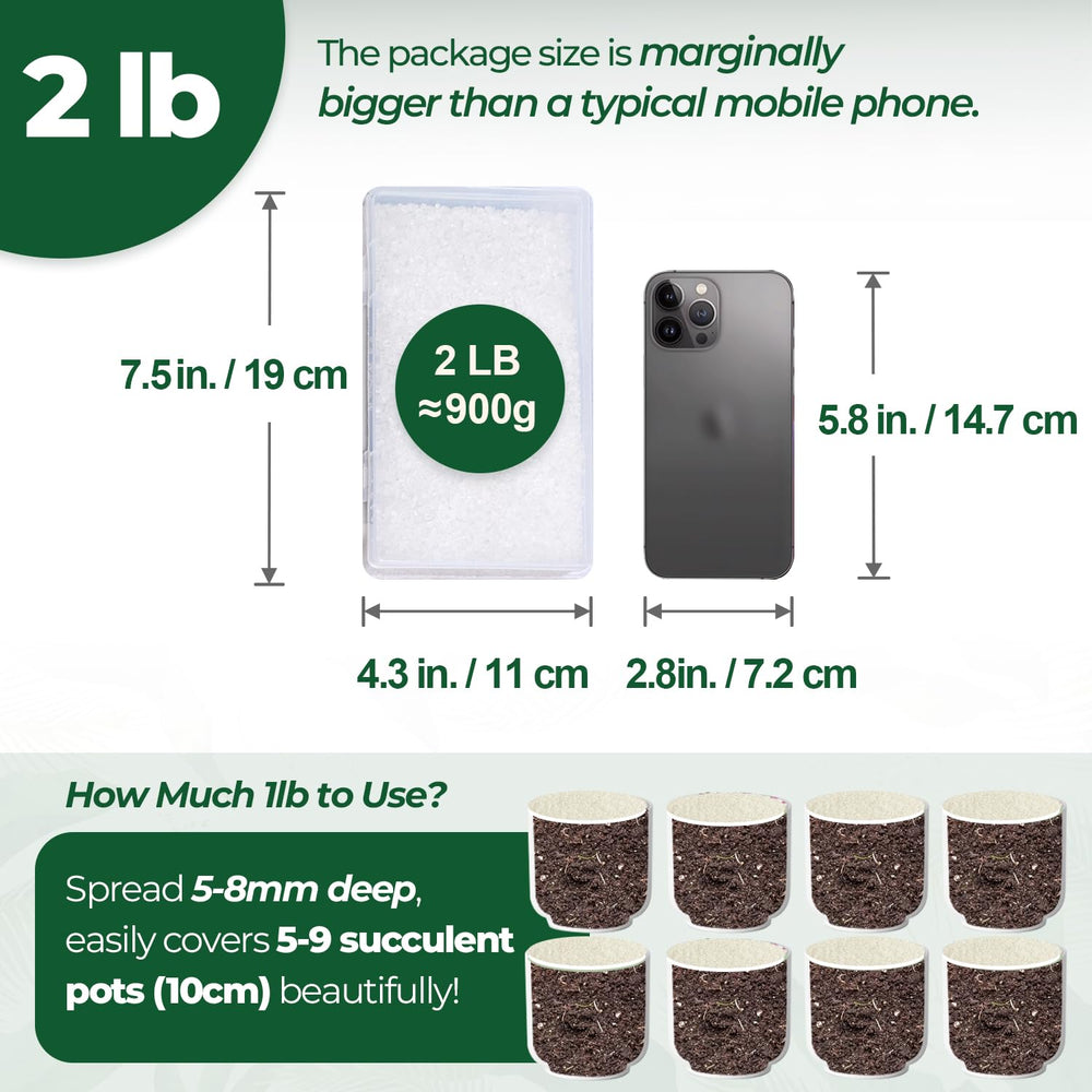 T4U crushed clear quartz chips 2lb irregular shapes in pots enhance tropical plant aesthetics.